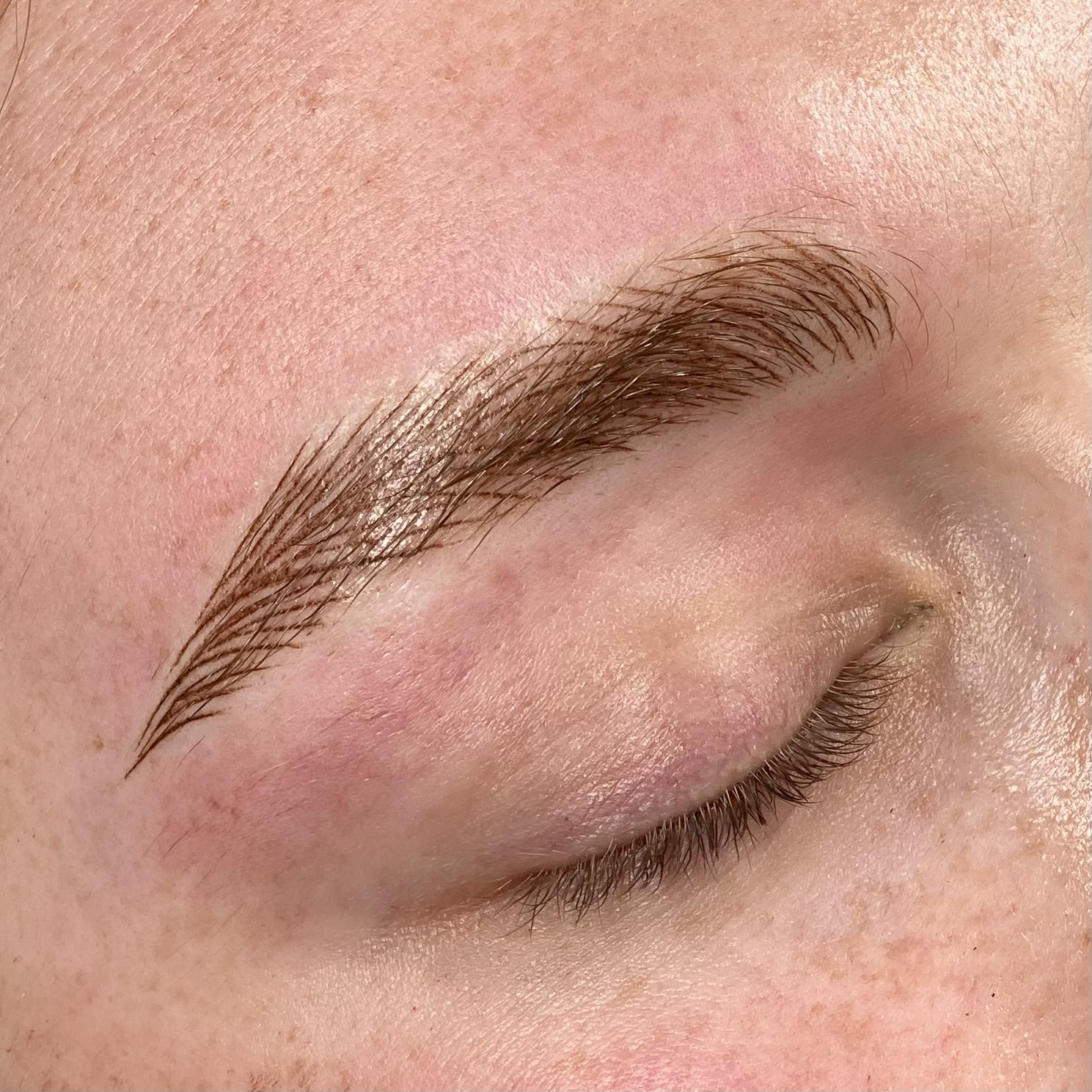 Nano brows permanent makeup result