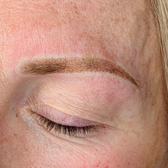 Powder brows result, soft shaded brow definition
